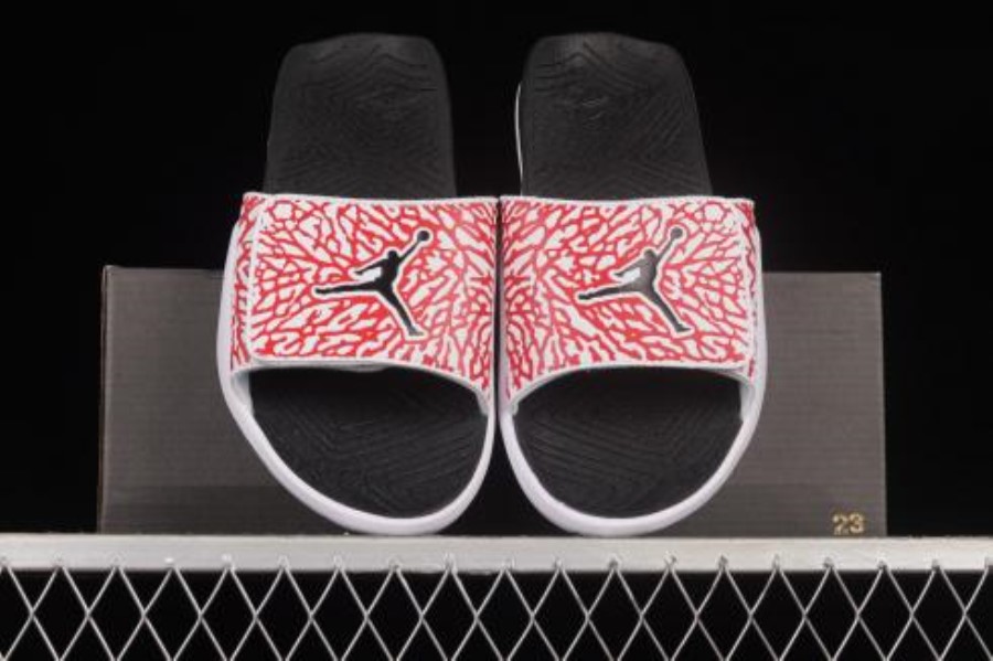 エアジョーダン 5 レトロ ホワット ザ メン Cz5725 700 13 日本